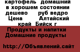 картофель  домашний  в хорошем состоянии, дешево: 50 руб/ведро › Цена ­ 50 - Алтайский край, Бийск г. Продукты и напитки » Домашние продукты   